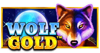 wolf gold pragmatic play slot game